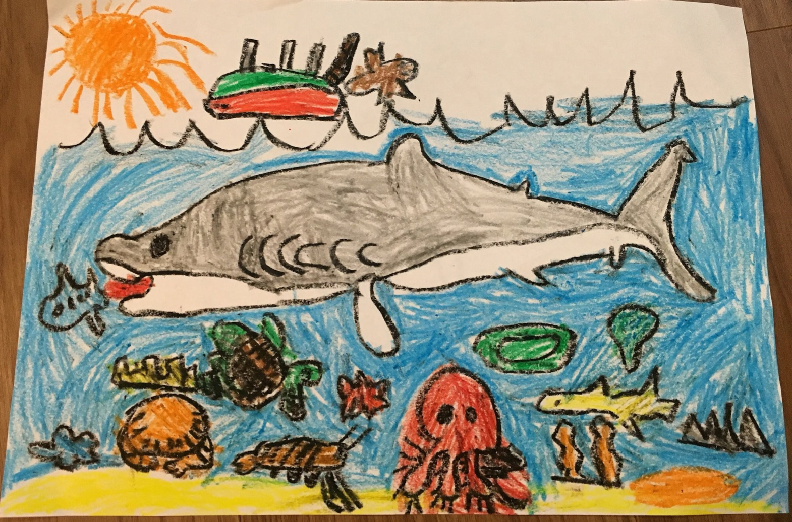 son's drawing of ocean animals