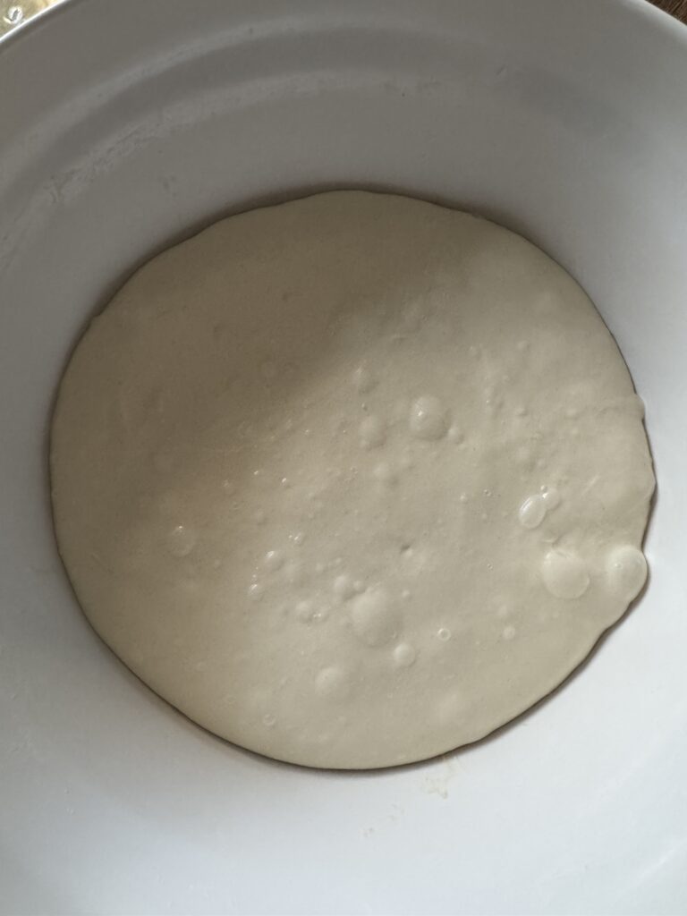 サワードウ フォカッチャピザ一次発酵完了の感じ
