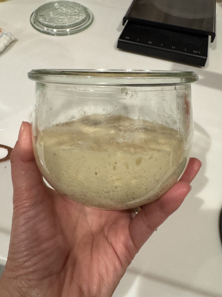 サワードウ スターブレッド発酵種