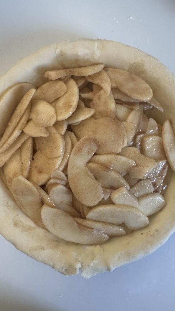 サワードウ アップルパイフィリング入れたところ